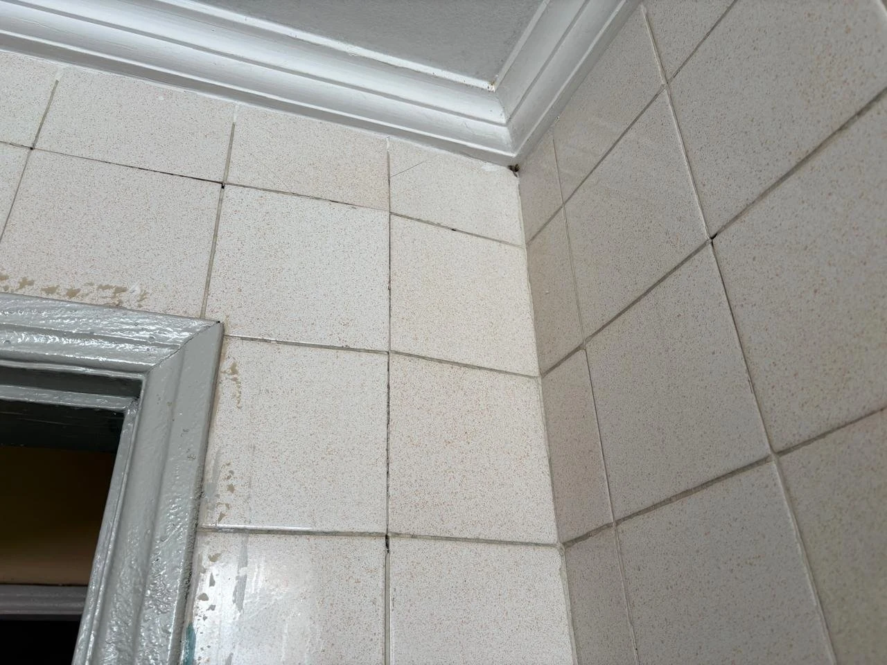 Azulejos com umidade e deterioração
